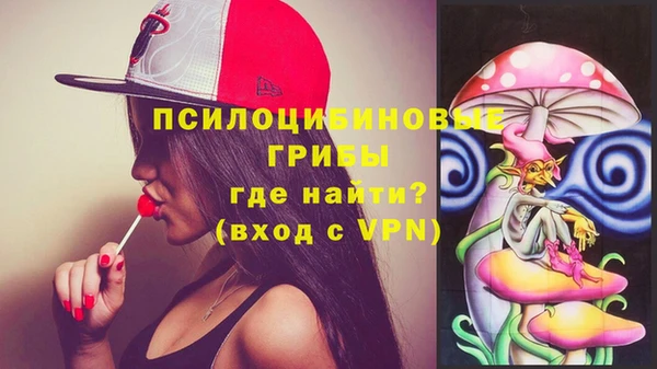 стаф Белокуриха