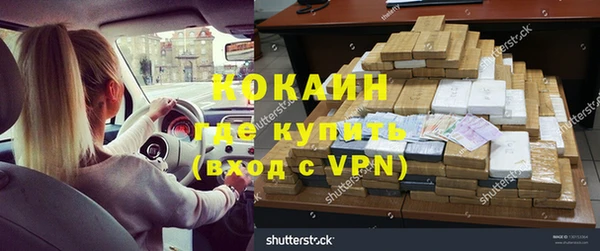 стаф Белокуриха