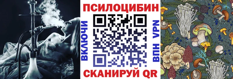 мориарти клад  Армавир  Галлюциногенные грибы Psilocybine cubensis 